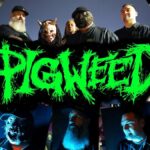 SINGLE REVIEW ~ PIGWEED ~ “MI SALVACIO”