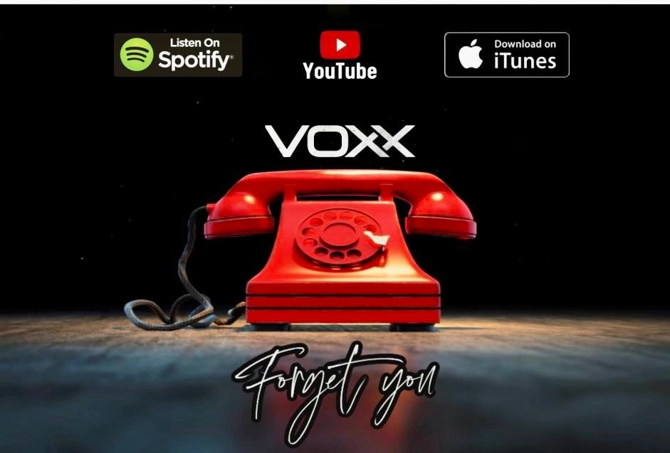 REVIEW ~ VOXX ~ “FORGET YOU”